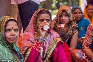 نوشیدن ادرار گاو؛ راهکار برخی از هندوها برای جلوگیری از ابتلا به کرونا (+عکس)