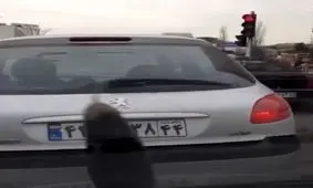 بلای جدید؛ از آسمان تهران بادمجان می بارد