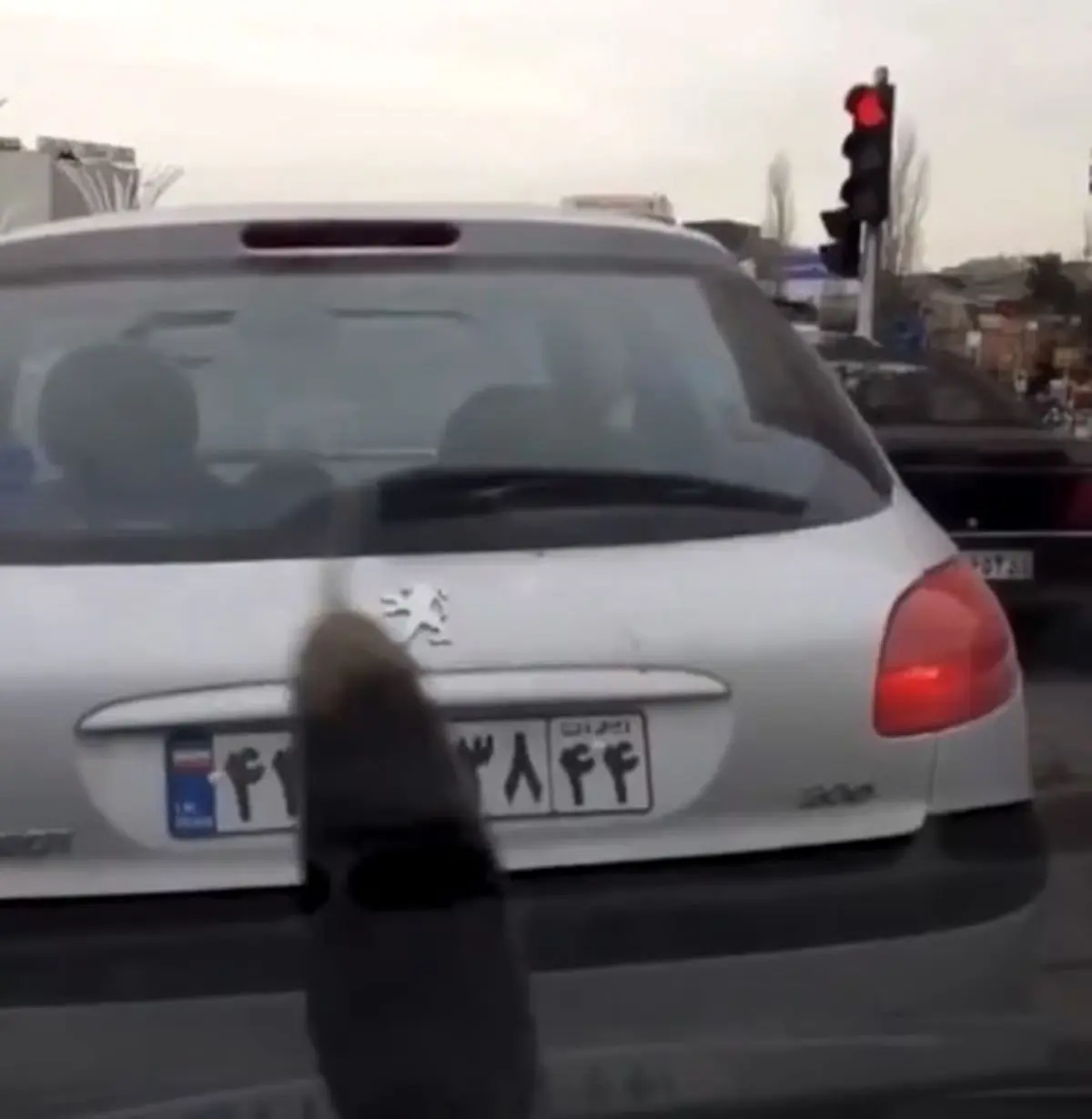 بلای جدید؛ از آسمان تهران بادمجان می بارد