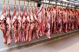 قیمت هرکیلو شقه گوشت گوسفندی ۱۲۵ هزار تومان شد