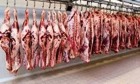 قیمت هرکیلو شقه گوشت گوسفندی ۱۲۵ هزار تومان شد