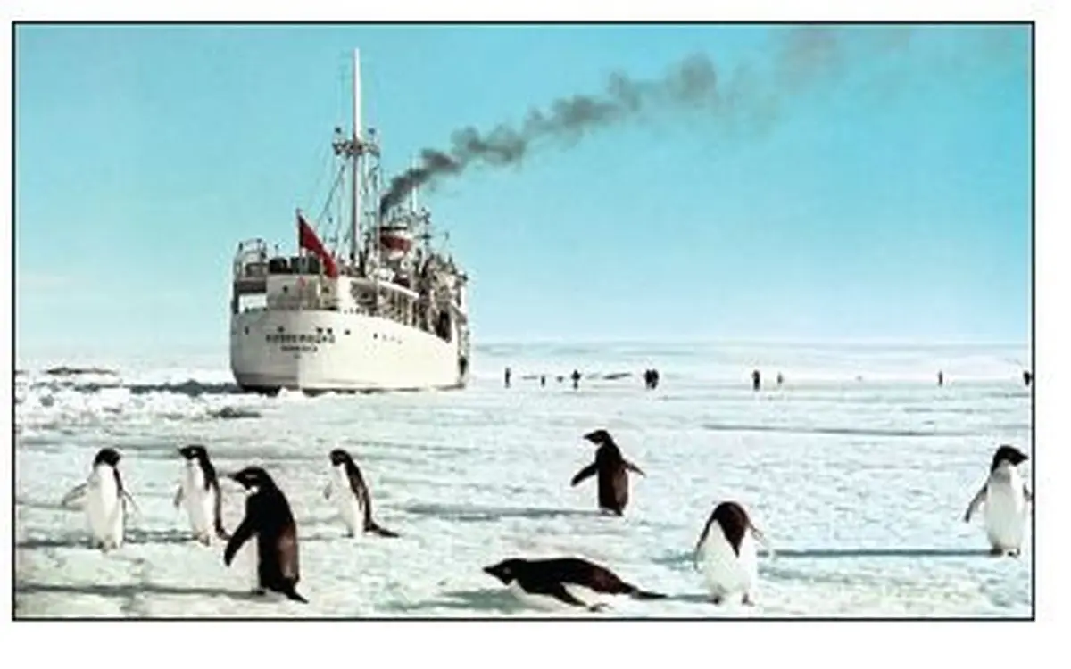 تنها قاره مصون از کرونا را بشناسید