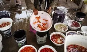 فروش ماهی قرمز نوروز ممنوع