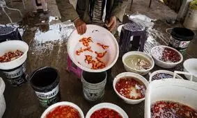 فروش ماهی قرمز نوروز ممنوع