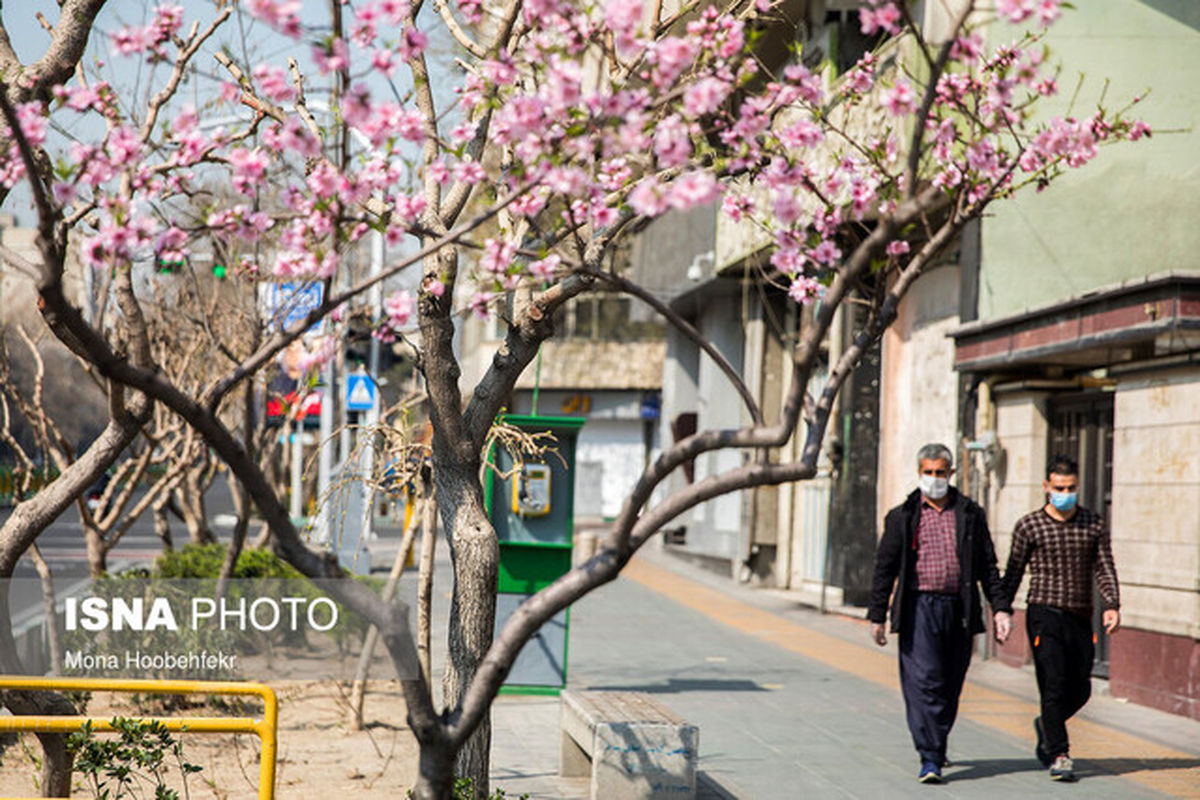 جمله کلیشهای عمر دست خداست، کار دستتان ندهد!