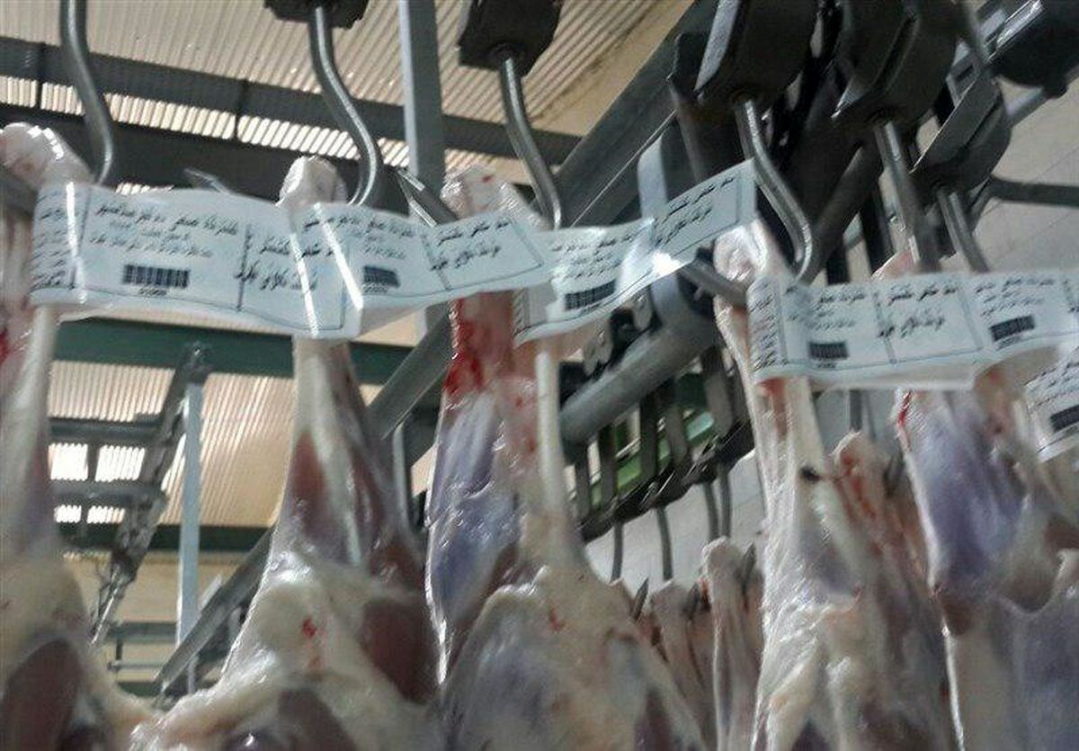 قیمت گوشت گوسفندی کاهش یافت