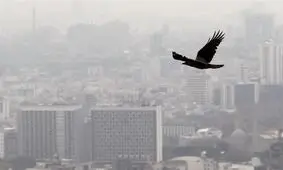 پیش بینی رکود سنگین مسکن در بهار ۹۹