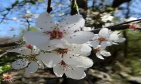 دعای لحظه تحویل سال