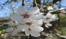 دعای لحظه تحویل سال