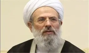 انتقاد عضو مجلس خبرگان از لیس زدن ضریح ائمه از سوی برخی افراطیون /اگر کمک نمی‌کنید لااقل ضربه نزنید