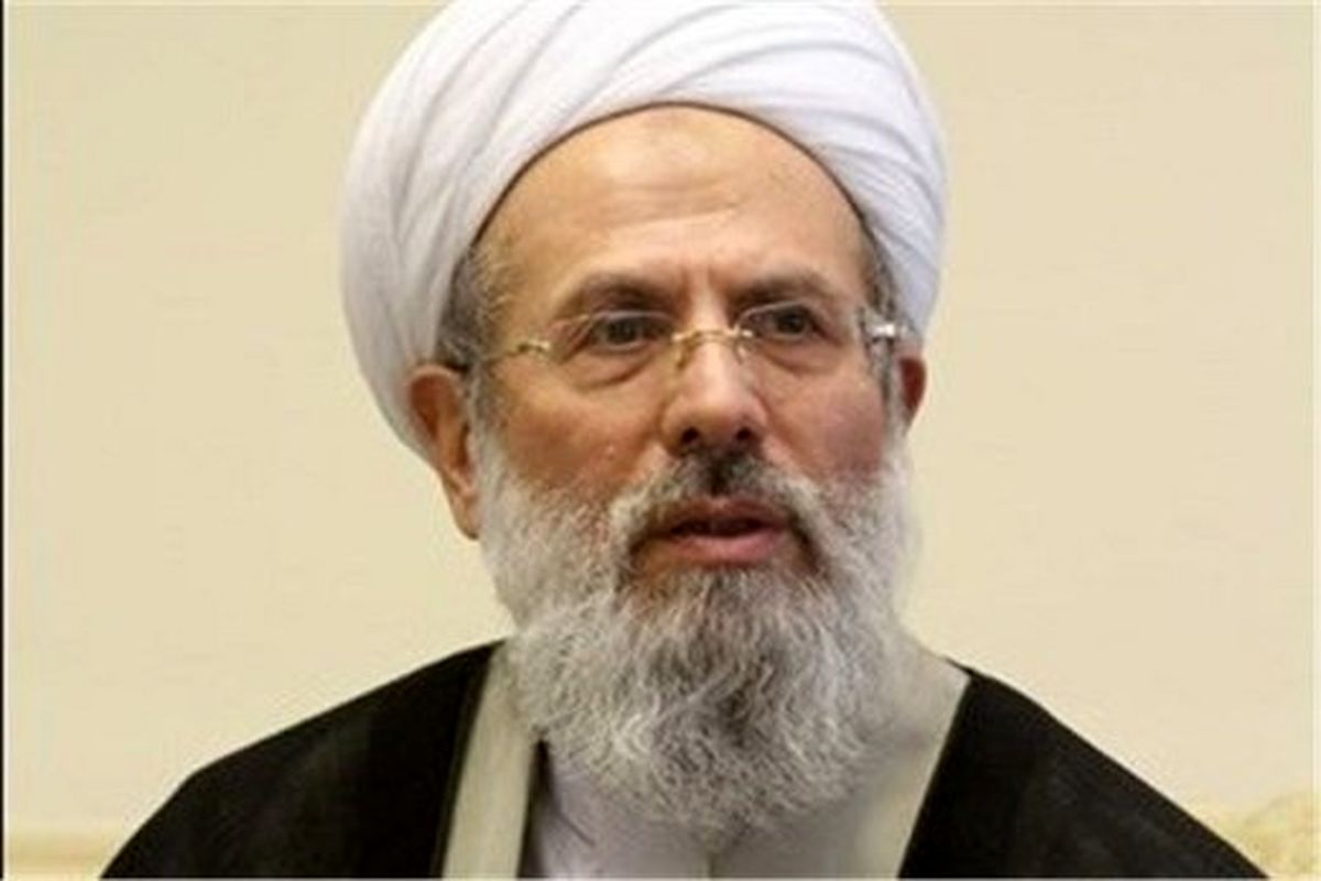 انتقاد عضو مجلس خبرگان از لیس زدن ضریح ائمه از سوی برخی افراطیون /اگر کمک نمیکنید لااقل ضربه نزنید