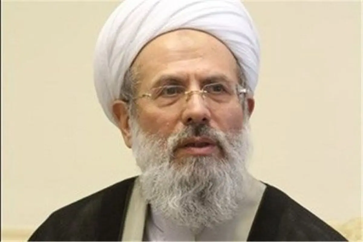 انتقاد عضو مجلس خبرگان از لیس زدن ضریح ائمه از سوی برخی افراطیون /اگر کمک نمی‌کنید لااقل ضربه نزنید