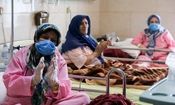 روند صعودی بیماران کرونایی در استان اردبیل؛ شمار مبتلایان به ۲۷۰ نفر رسید
