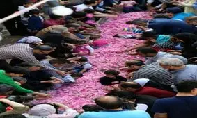 جشنواره ملی گل غلتان در کاشان