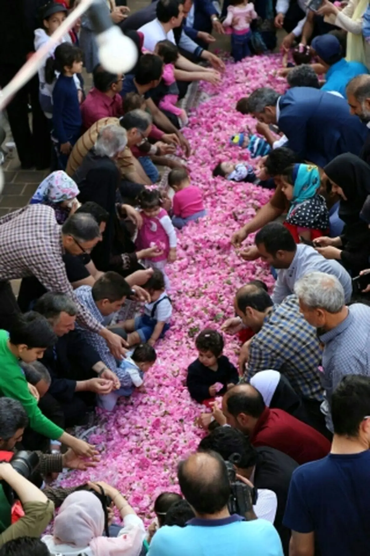 جشنواره ملی گل غلتان در کاشان