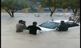 فیلم| سیل به بوشهر رسید