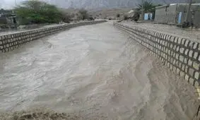 خسارت ۳۶۳ میلیاردی سیل به مزارع و باغات جنوب بوشهر