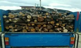 توقیف ۲ خودروی حامل چوب قاچاق در قزوین