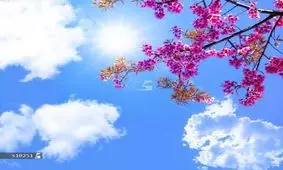 افزایش نسبی دما طی فردا/ بارش برف و باران از دوشنبه