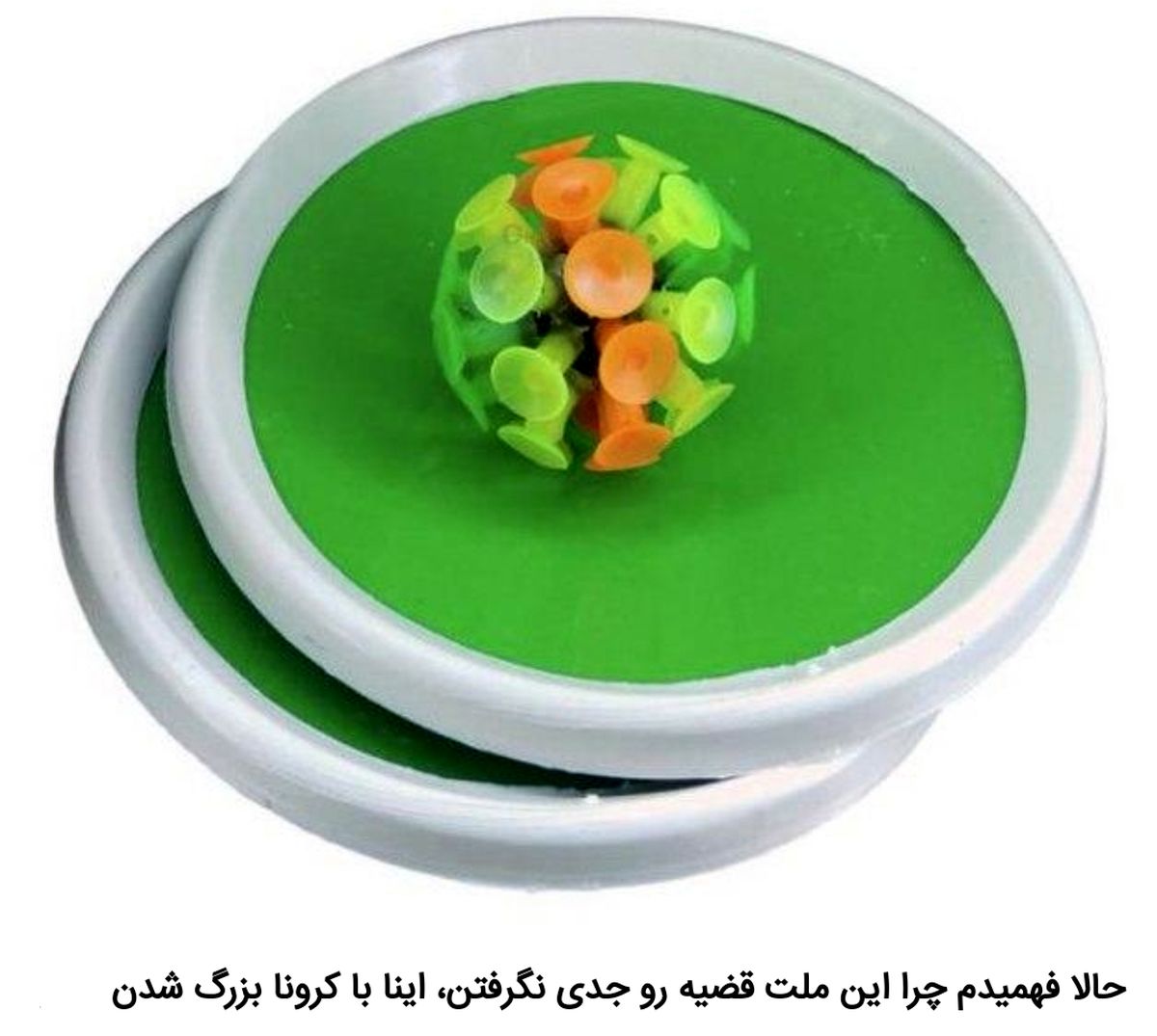 شوخیهای جالب شبکههای اجتماعی؛ لطفاً سریعاً این را پاک کن!