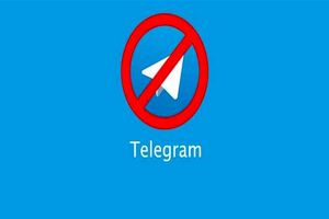 اینفوگرافی| چه کسانی دکمه فیلتر تلگرام را فشار دادند؟