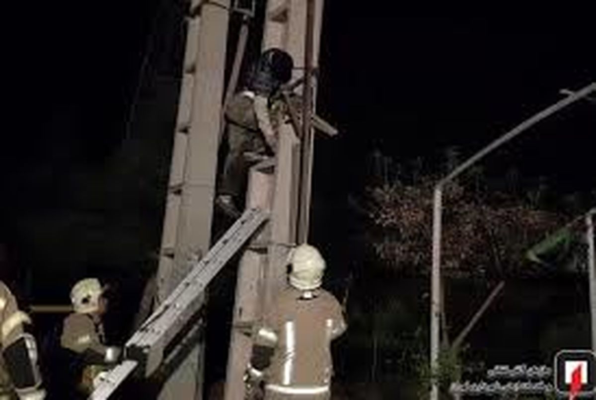 مرگ کارگر جوان بر اثر برقگرفتگی حین نصب داربست