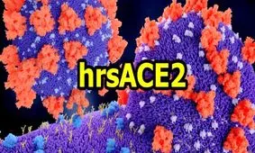 نتیجه موفقیت‌آمیز یک دارو در درمان آزمایشی بیماران کرونا