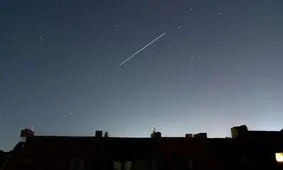 نیویورکی‌ها در قرنطینه شاهد یک پدیده جذاب بودند