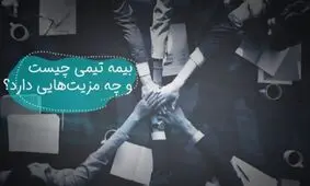 منظور از سود در بیمه تیمی چیست؟