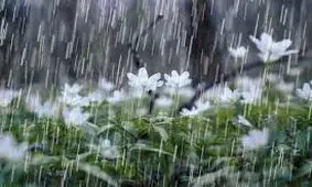 تهران ۱۰ درجه سرد می‌شود