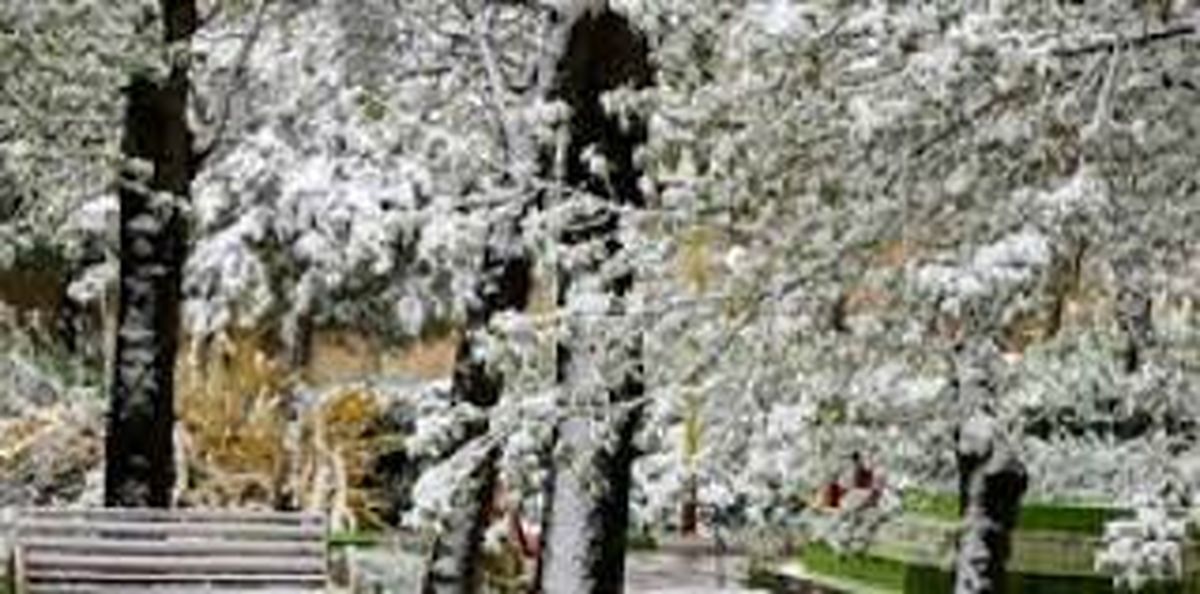 بارش برف در نوزدهمین روز از بهار در استان اردبیل