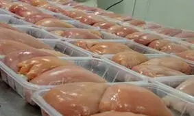 ورود قیمت مرغ به کانال ۸۸۰۰ تومان