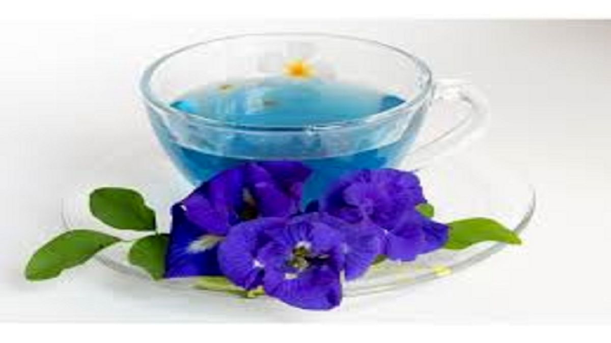 چه کسانی نمیتوانند از دمنوش گل گاو زبان استفاده کنند؟