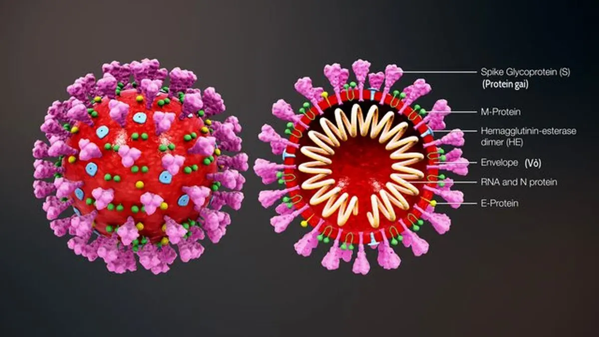 صداسازی کروناویروس با نت‌های موسیقی