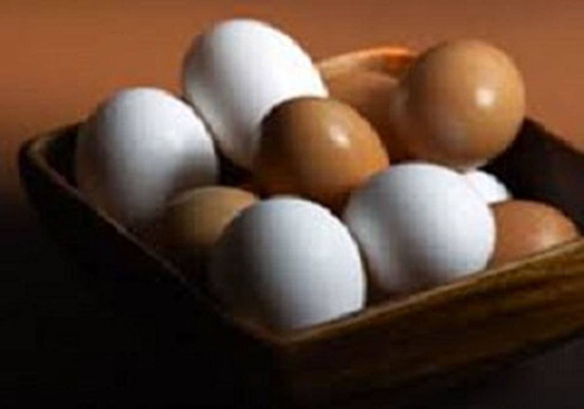 تخم مرغ محلی و ماشینی چه تفاوتی با هم دارند؟
