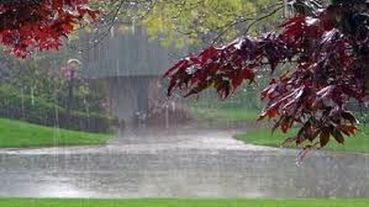 وضعیت آب و هوا در ۲۱ فروردین / بارندگی تا شنبه ادامه دارد