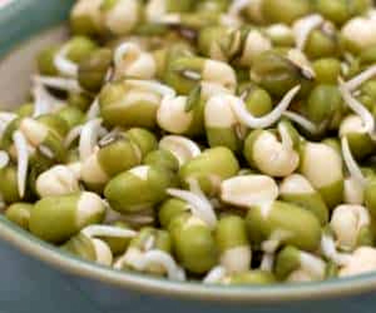 با خواص جوانه ماش چه دردها که دوا نمیشود