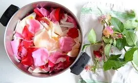 طرز تهیه گلاب گیری در خانه
