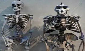 جالب‌ترین مقایسه‌هایی که تا‌به‌حال دیده‌اید!