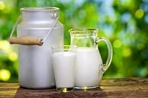 سرانه مصرف شیر و لبنیات در ایران ۱۱۷ کیلوگرم است