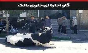 سوء استفاده از مهلت "کرونایی" بانک ها با "گاو" پیشانی سفید!