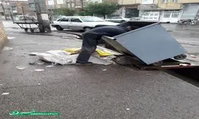 زباله‌گرد‌ها چگونه زندگی خود را بگذرانند؟