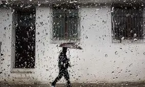 بارندگی ۵۰ میلیارد ریال خسارت به بخش کشاورزی خراسان رضوی وارد کرد