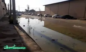 وضعیت بازار شیلات اهواز + تصویر