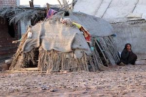 خسارت ۱۴ میلیارد تومانی سیل در قلعه گنج کرمان/ فیبرنوری دچار مشکل است