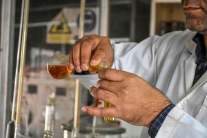 مرگ‌ومیر ناشی از الکل در استان فارس، ۶ برابر کروناست