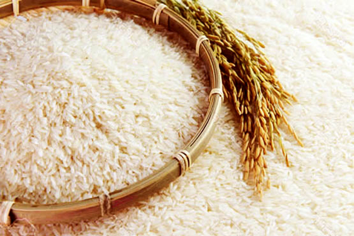 ۳۰۰ هزار تن برنج وارداتی معطل تخصیص ارز
