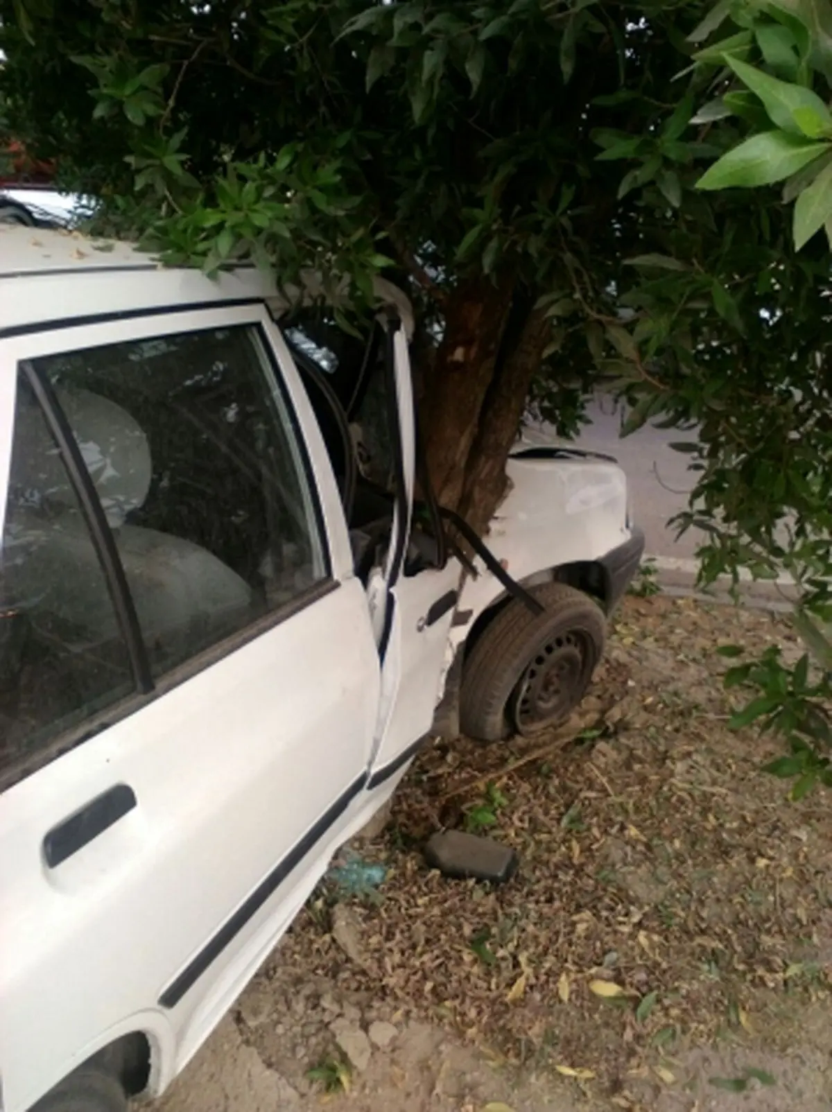 تصادف پراید با درخت