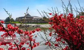 زیباسازی محوطه کاخ مروارید+تصاویر