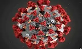 ویدئوی شبیه‌سازی سه بعدی اثر COVID-19 بر ریه یک فرد میانسال سالم